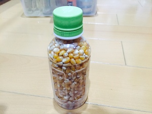image1.JPG