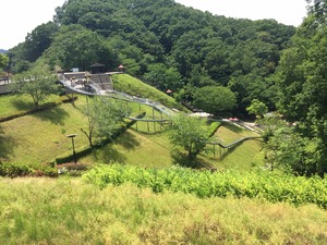 image3.JPG
