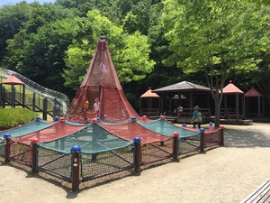 image4.JPG