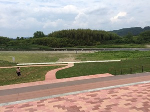 image1.JPG