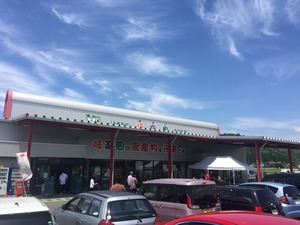 image7.JPG