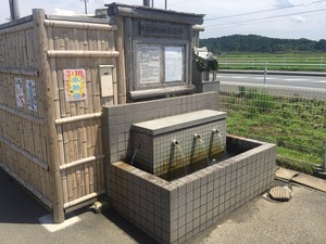 image8.JPG