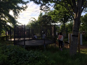 image10.JPG