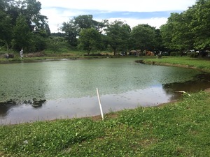 image3.JPG