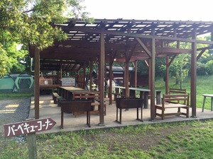 image7.JPG