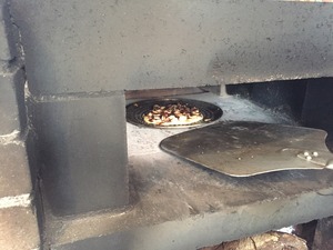 image2.JPG