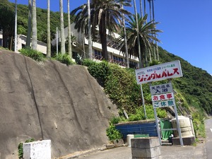 image3.JPG