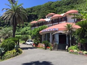 image4.JPG