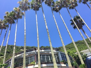 image5.JPG