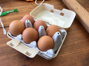image12.jpeg