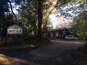 image5.jpeg