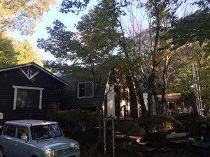 image3.jpeg