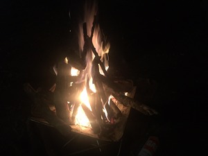image1.jpeg