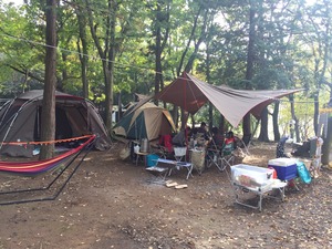 image1.jpeg