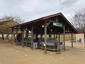 image1.jpeg