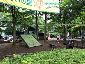 image1.jpeg