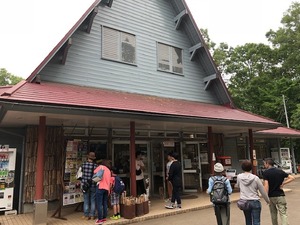 image2.jpeg