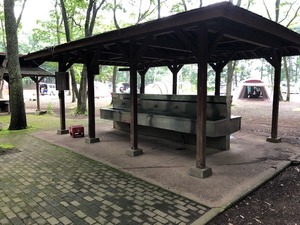 image1.jpeg