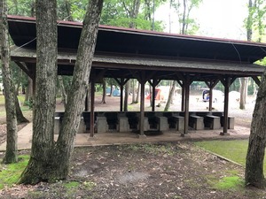 image4.jpeg