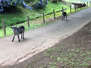 image6.jpeg