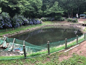 image7.jpeg