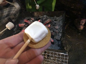 image6.jpeg