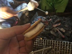 image7.jpeg