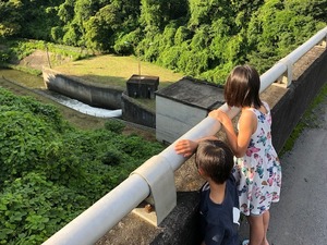 image14.jpeg