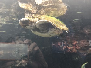 image2.jpeg
