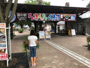 IMG_2078.jpg
