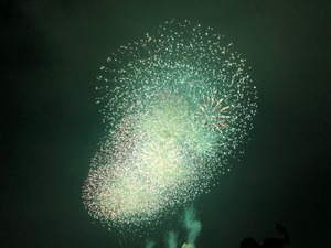 IMG_2272.jpg