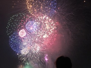 IMG_2325.jpg