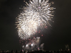 IMG_2344.jpg