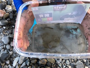 IMG_2524.jpg
