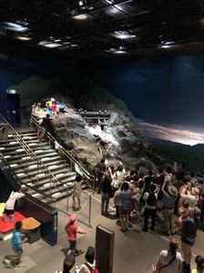 IMG_2538.JPG