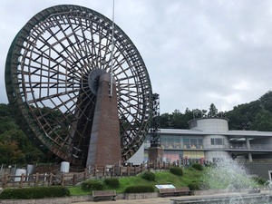 IMG_2516.jpg