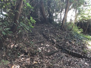 IMG_2858.jpg