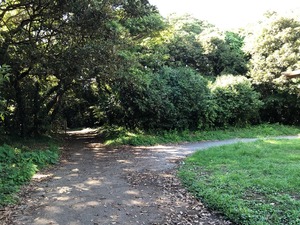 IMG_2860.jpg