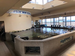 IMG_2850.jpg