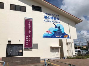IMG_2853.jpg
