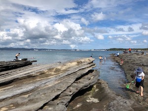 IMG_2854.jpg