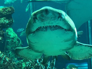 IMG_3222.jpg