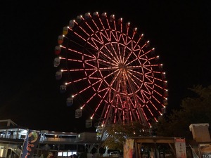 IMG_3311.jpg