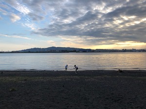 IMG_3290.jpg