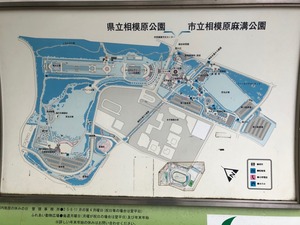 IMG_3315.jpg