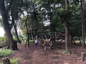 IMG_3316.jpg