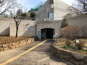 IMG_4514.jpg