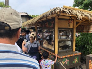 IMG_6629.jpg