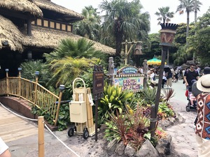 IMG_6630.jpg