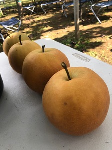 20190929_IMG_9650.jpg